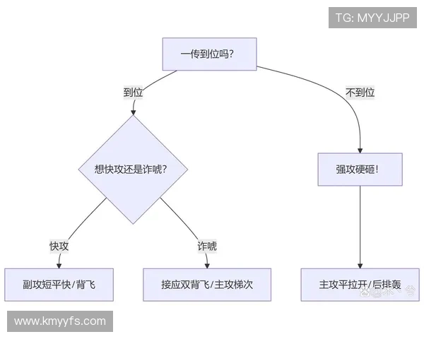 南京排球队反击体系的战术解析与实战应用探讨
