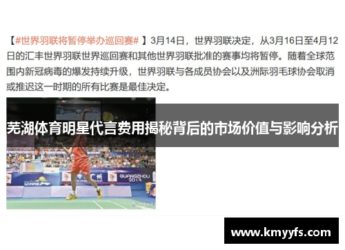 芜湖体育明星代言费用揭秘背后的市场价值与影响分析